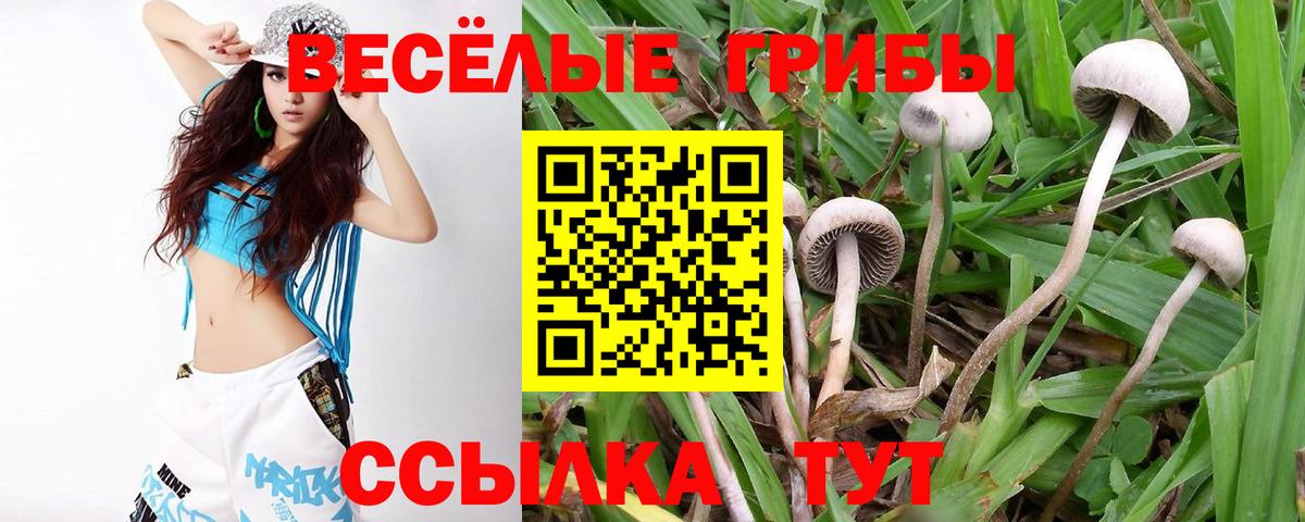 Галлюциногенные грибы GOLDEN TEACHER Кудрово