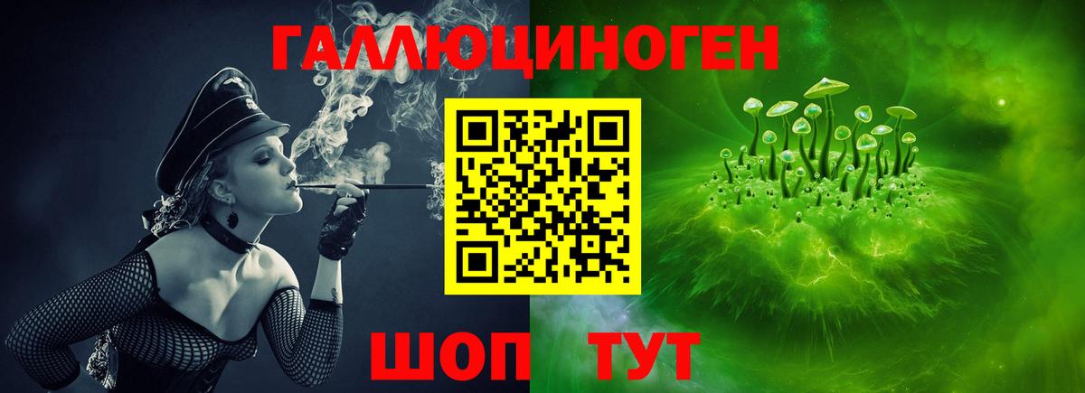 Кудрово  Псилоцибиновые грибы мухоморы  Вход с VPN 